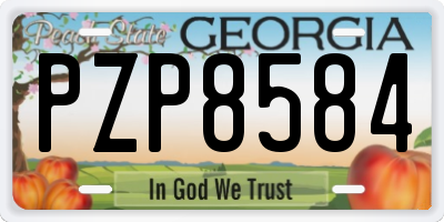 GA license plate PZP8584