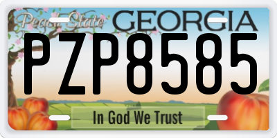 GA license plate PZP8585