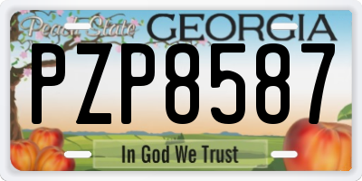 GA license plate PZP8587