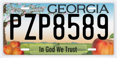 GA license plate PZP8589