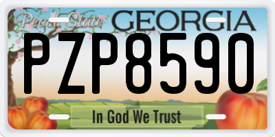 GA license plate PZP8590