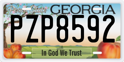 GA license plate PZP8592