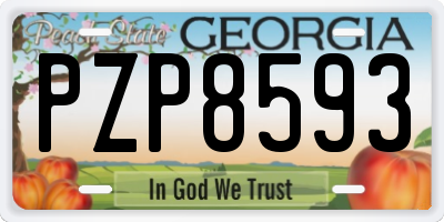GA license plate PZP8593