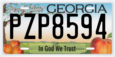 GA license plate PZP8594