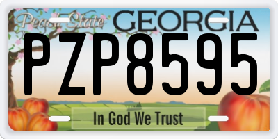 GA license plate PZP8595