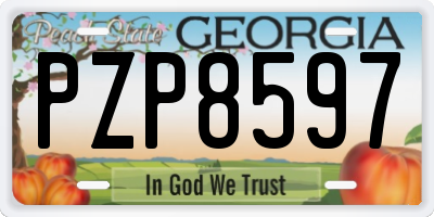 GA license plate PZP8597