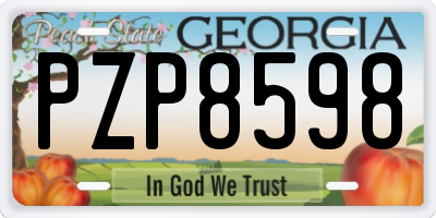 GA license plate PZP8598