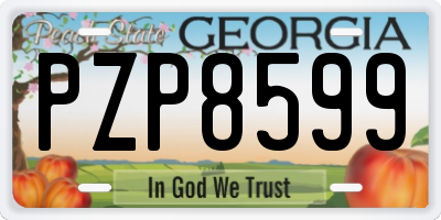 GA license plate PZP8599