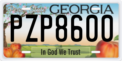 GA license plate PZP8600