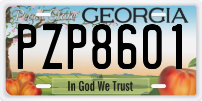 GA license plate PZP8601