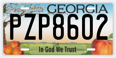 GA license plate PZP8602