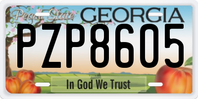GA license plate PZP8605