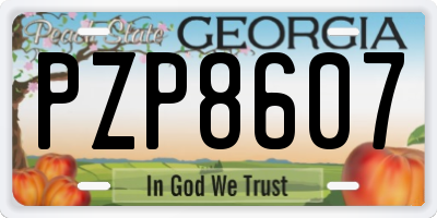 GA license plate PZP8607