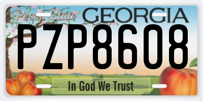 GA license plate PZP8608