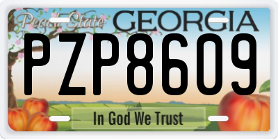 GA license plate PZP8609