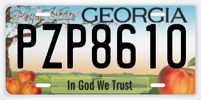 GA license plate PZP8610