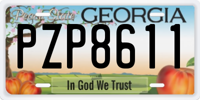 GA license plate PZP8611