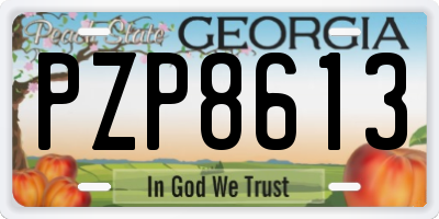 GA license plate PZP8613