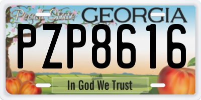 GA license plate PZP8616