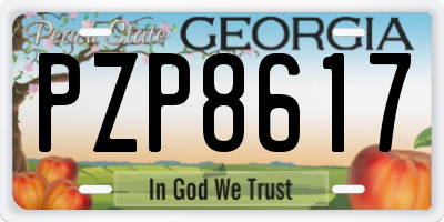 GA license plate PZP8617