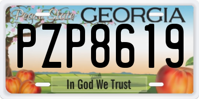 GA license plate PZP8619