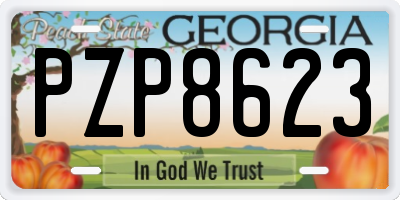 GA license plate PZP8623