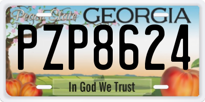 GA license plate PZP8624