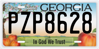 GA license plate PZP8628