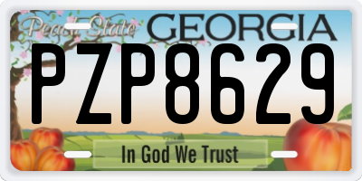 GA license plate PZP8629