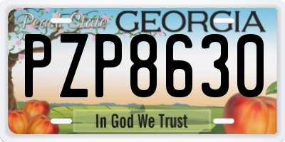GA license plate PZP8630