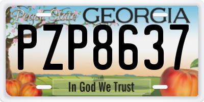 GA license plate PZP8637
