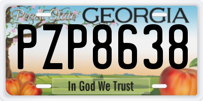 GA license plate PZP8638
