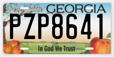 GA license plate PZP8641