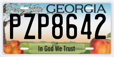 GA license plate PZP8642