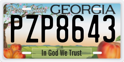 GA license plate PZP8643
