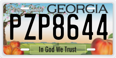 GA license plate PZP8644
