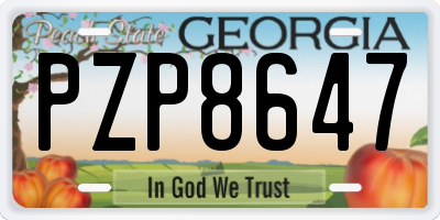 GA license plate PZP8647