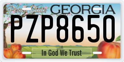 GA license plate PZP8650