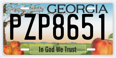GA license plate PZP8651