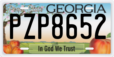 GA license plate PZP8652