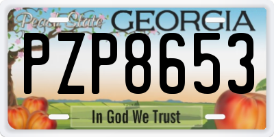 GA license plate PZP8653