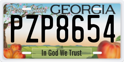 GA license plate PZP8654