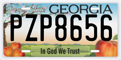 GA license plate PZP8656