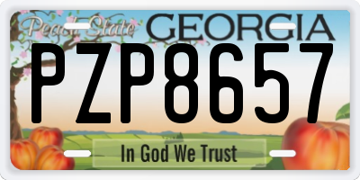 GA license plate PZP8657