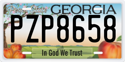 GA license plate PZP8658