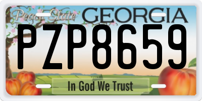 GA license plate PZP8659