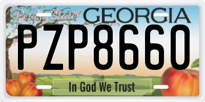 GA license plate PZP8660