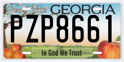 GA license plate PZP8661