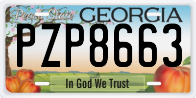 GA license plate PZP8663