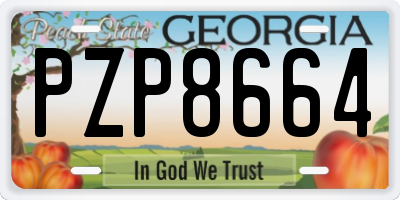 GA license plate PZP8664